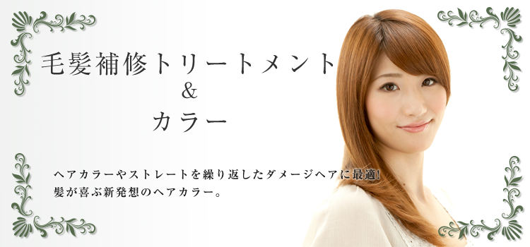 トリートメント