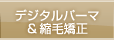 �f�W�^���p�[�}���k�ы���