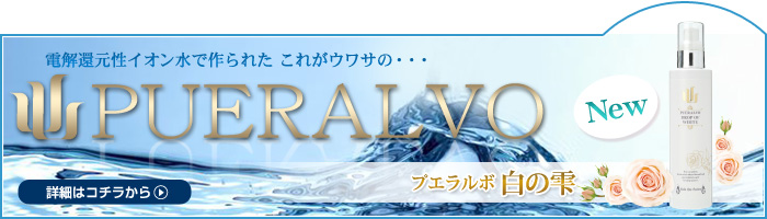 �v�G�����{